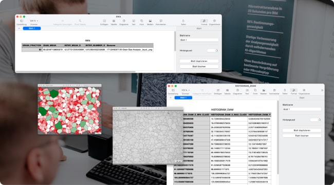 CSV-Export von MiViA Analyseergebnissen